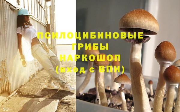 каннабис Верхний Тагил