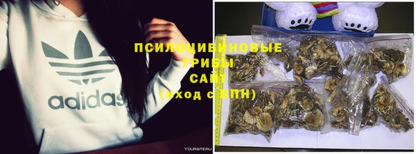 МДПВ Верея
