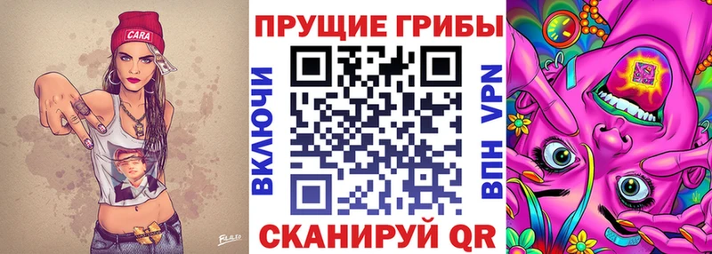Псилоцибиновые грибы прущие грибы  Купить где  Поронайск 